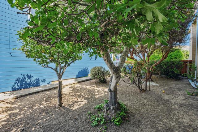 315 California Avenue, South San Francisco CA: https://media.crmls.org/mediaz/c26dfb89-0204-438c-b90e-a96a14422f77.jpg
