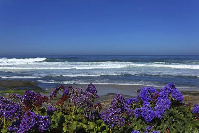 101 Coast Boulevard, La Jolla CA: https://media.crmls.org/mediaz/c270347c-606d-4aa6-8027-86775987f320.jpg
