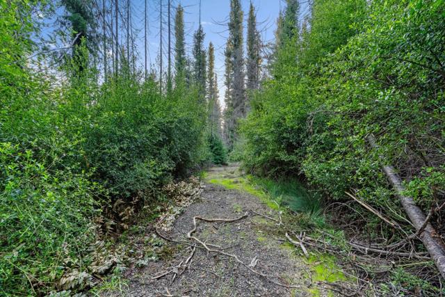 21200 Big Basin Way, Boulder Creek CA: https://media.crmls.org/mediaz/c27396aa-c7db-4f43-9333-2ff82d8a58df.jpg