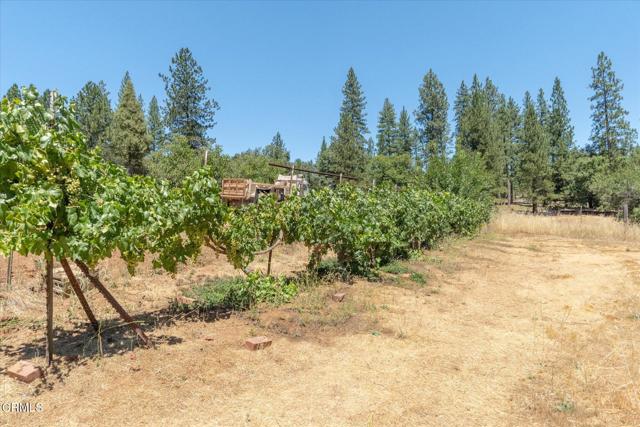 Detail Gallery Image 35 of 37 For 2660 Independence Rd, Glencoe,  CA 95232 - 2 Beds | 1 Baths