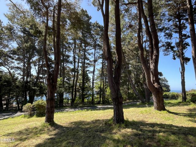 45300 Headlands Drive, Mendocino CA: https://media.crmls.org/mediaz/c282b7fc-8608-45bc-9bef-73ec7881300f.jpg