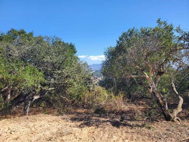 19705 Moonglow Road, Salinas CA: https://media.crmls.org/mediaz/c284dba2-e4f6-4e37-a619-c9d770703e32.jpg