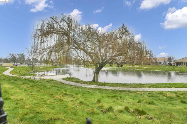 342 Desert Forest Ct, Rio Vista CA: https://media.crmls.org/mediaz/c2982614-131a-4083-b21a-fce16c452f76.jpg