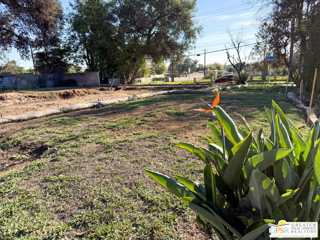 Looking south toward the drive