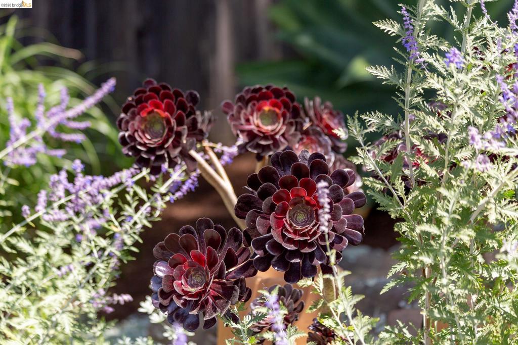 https://media.crmls.org/mediaz/c29cd75a-a0d1-4dbc-b737-5523d4d9f15c.jpg?preset=X-Large