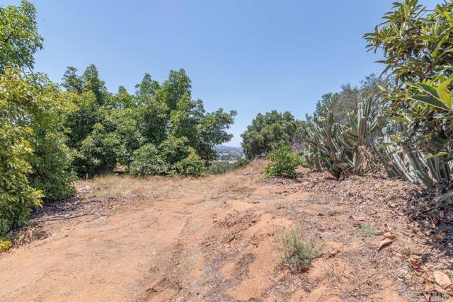 3137 E Valley Parkway, Escondido CA: https://media.crmls.org/mediaz/c29f7b38-d969-447c-a2e6-ee8f6de04290.jpg