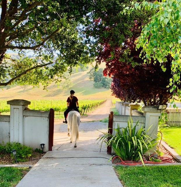 3970 Leavesley Road, Gilroy CA: https://media.crmls.org/mediaz/c2a0ebbd-3d8e-46f2-9fcb-14e21c860a38.jpg