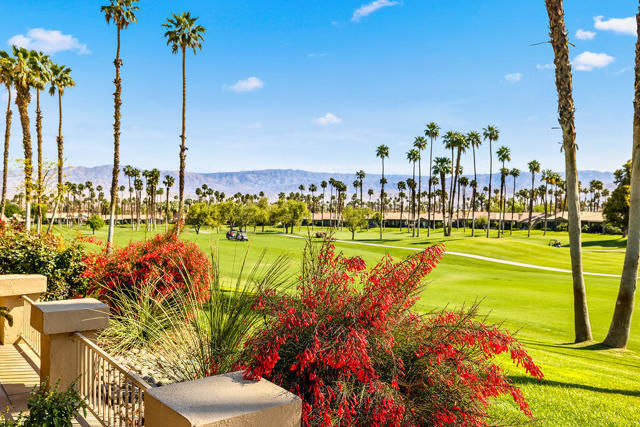 38960 Gladiolus Lane, Palm Desert CA: https://media.crmls.org/mediaz/c2a2d1fd-1d48-4fff-bc20-e5bb9898f23b.jpg