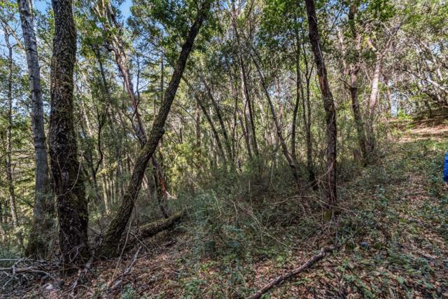 0 Madrone Avenue, Felton CA: https://media.crmls.org/mediaz/c2a56113-4eba-4237-bcb5-3a9df0ed0d28.jpg