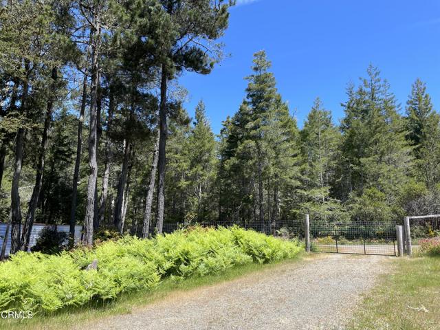 29331 Albion Ridge Road, Albion CA: https://media.crmls.org/mediaz/c2a6e0c7-89be-49fb-853b-67789668f97d.jpg
