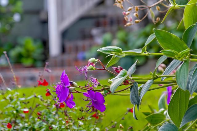 3039 Dumas Street, San Diego CA: https://media.crmls.org/mediaz/c2b12ef6-256f-4104-bcd1-7a8b488a2110.jpg