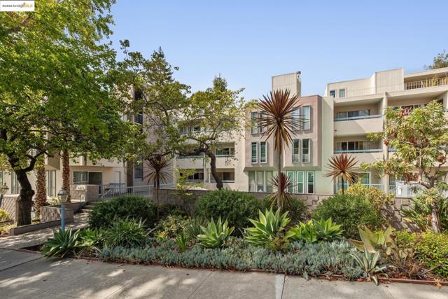 385 Jayne Ave, Oakland CA: https://media.crmls.org/mediaz/c2b1c4c4-fb81-4a0e-968d-35fbd9d2cbbc.jpg