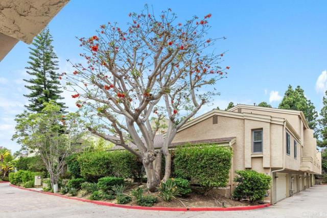 3330 Caminito Eastbluff, La Jolla CA: https://media.crmls.org/mediaz/c2b72fd9-84cb-49e6-a37e-904855e62671.jpg