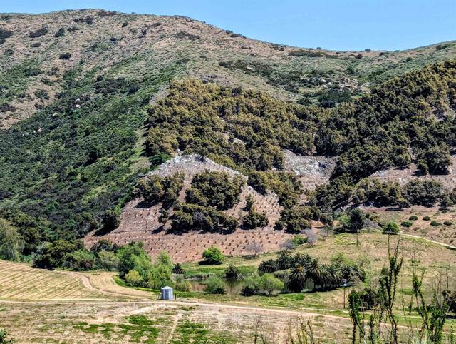 Rice Canyon, Fallbrook, California 92028, ,Residential Land,For Sale,Rice Canyon,NDP2403219