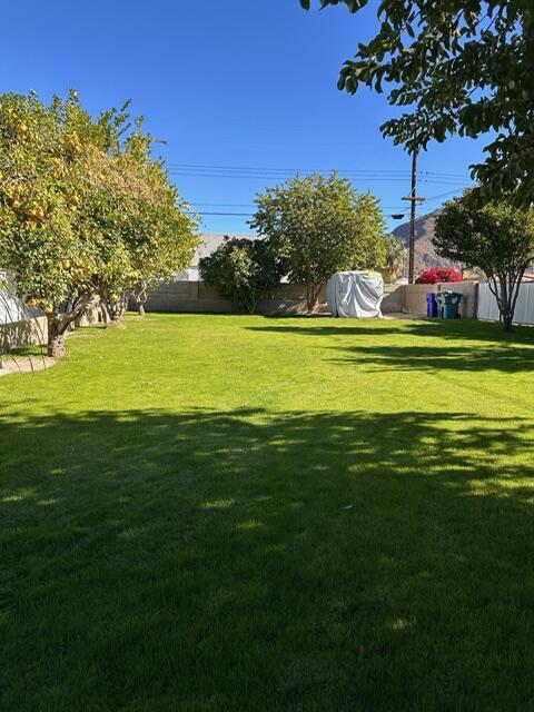 MLS #219139766DA image #6