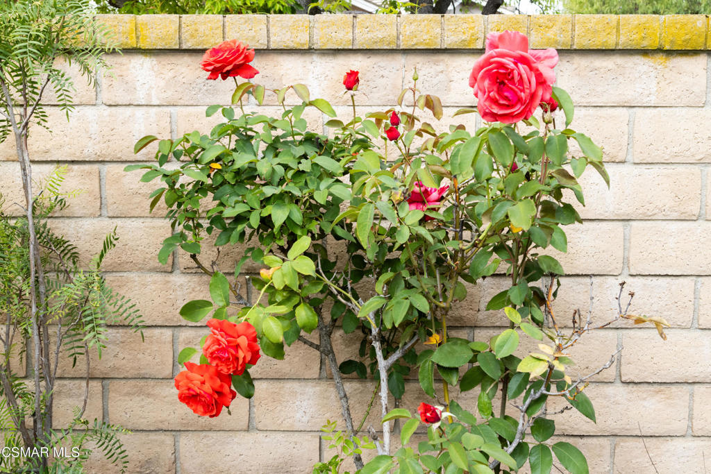 https://media.crmls.org/mediaz/c2cccace-48e0-4f59-8a5c-123946f3d076.jpg?preset=X-Large
