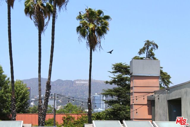 5806 Waring Avenue, Los Angeles CA: https://media.crmls.org/mediaz/c2cd3963-fdcb-480d-a0ac-c7ddb059168c.jpg