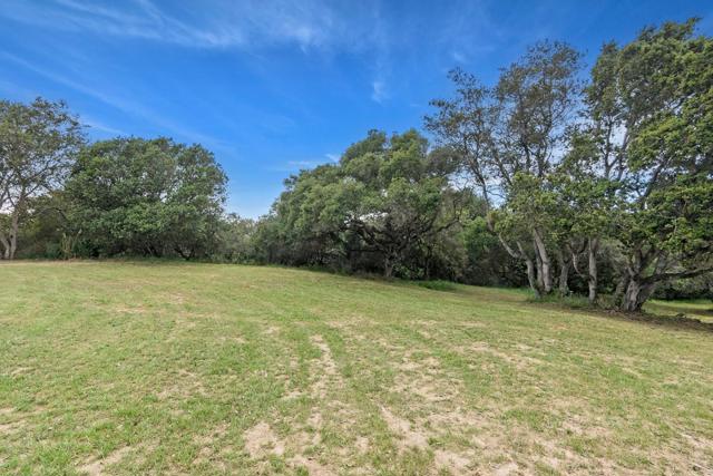 159 Strawberry Canyon Road, Royal Oaks CA: https://media.crmls.org/mediaz/c2cf45f3-ea7a-4fc6-81b2-8332d62ee0f1.jpg
