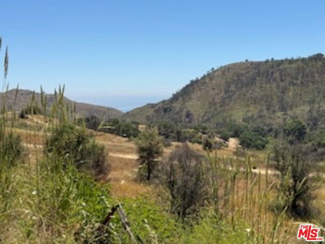 0 Tuna Canyon Rd, Topanga CA: https://media.crmls.org/mediaz/c2d5f7d9-eff6-418b-bb76-39839d540874.jpg