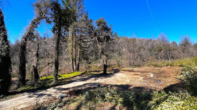 11035 Empire Grade, Santa Cruz CA: https://media.crmls.org/mediaz/c2d9721b-b8fe-42b6-a4e1-7001f4629c6a.jpg