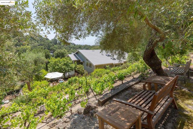 151 La Espiral, Orinda CA: https://media.crmls.org/mediaz/c2dbbdda-ec19-4fc6-a470-f9a414b9ebd2.jpg