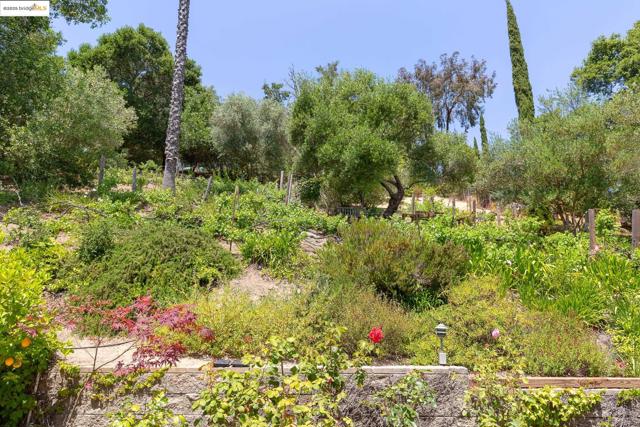 151 La Espiral, Orinda CA: https://media.crmls.org/mediaz/c2de3785-d92e-4c8d-86b6-aad13e39ce42.jpg