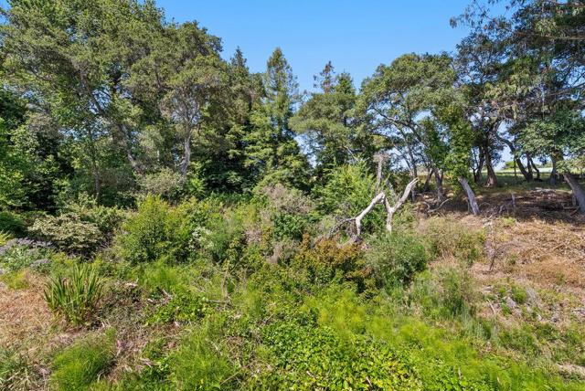 11 Del Rio Circle, Soquel CA: https://media.crmls.org/mediaz/c2e07b7d-1477-4a00-91a3-724c86351a43.jpg