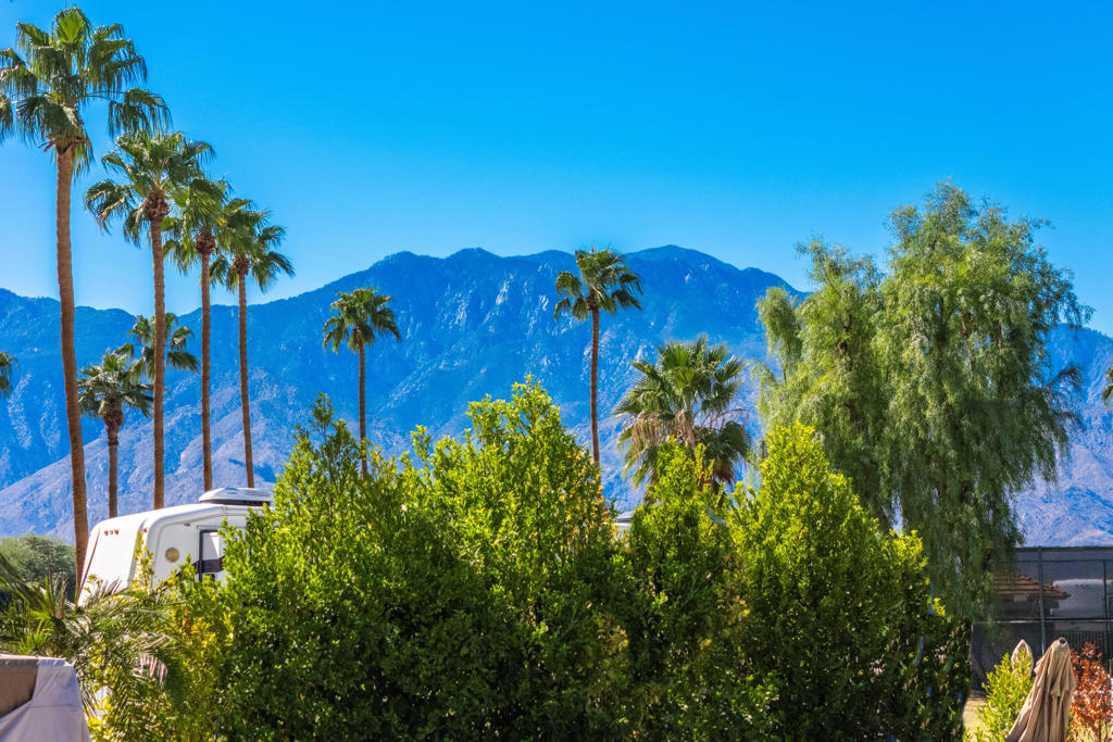 MLS #219136589PS image #9