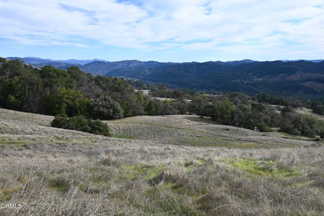 Detail Gallery Image 51 of 59 For 24051 Fig Tree Ln, Yorkville,  CA 95494 - – Beds | – Baths