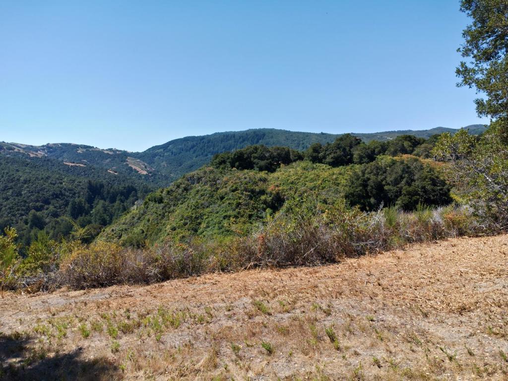 MLS #ML82010106 image #14