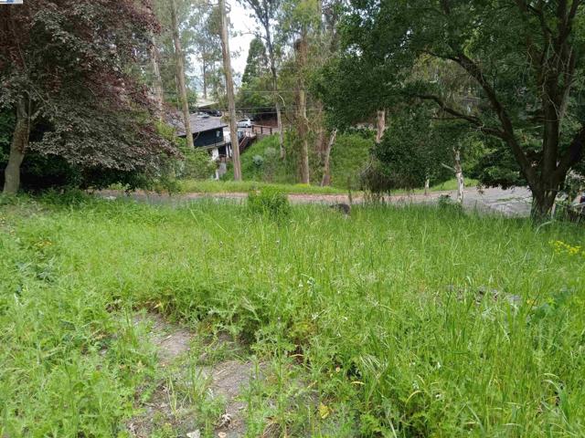 1375 Queens Road, Berkeley CA: https://media.crmls.org/mediaz/c30208fc-1294-46cd-8274-55b8159ea727.jpg