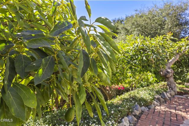 Detail Gallery Image 59 of 64 For 5942 Bridgeview Dr, Ventura,  CA 93003 - 5 Beds | 3/1 Baths