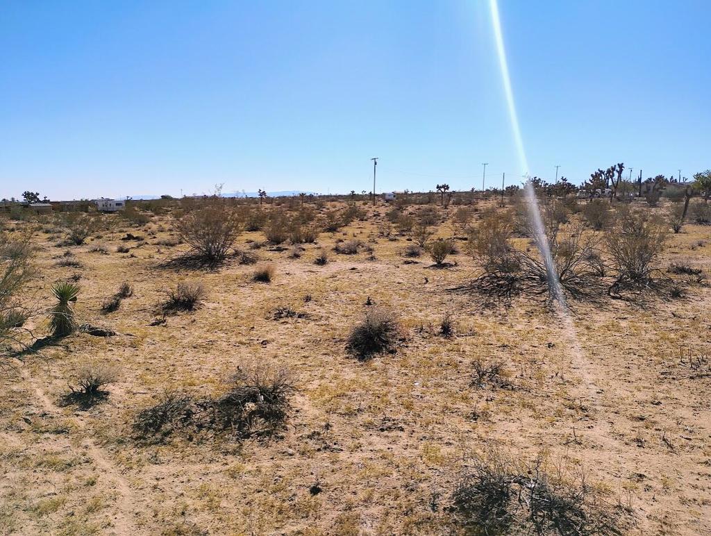 MLS #219138097DA image #6