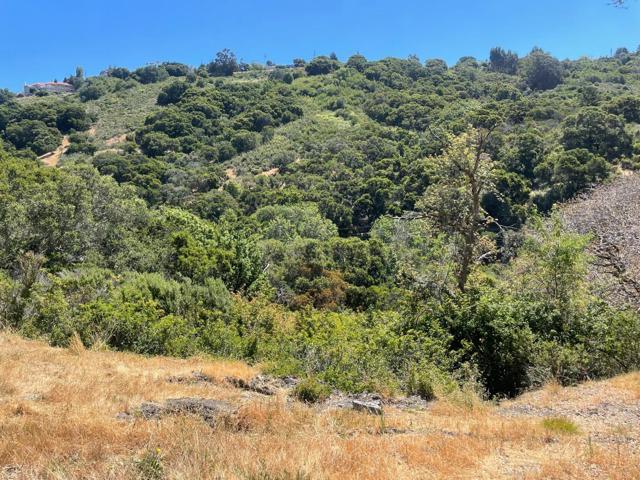 0 Tartan Trail Road, Hillsborough CA: https://media.crmls.org/mediaz/c30dbcc1-706f-41ea-b39d-a29d7ef7a379.jpg