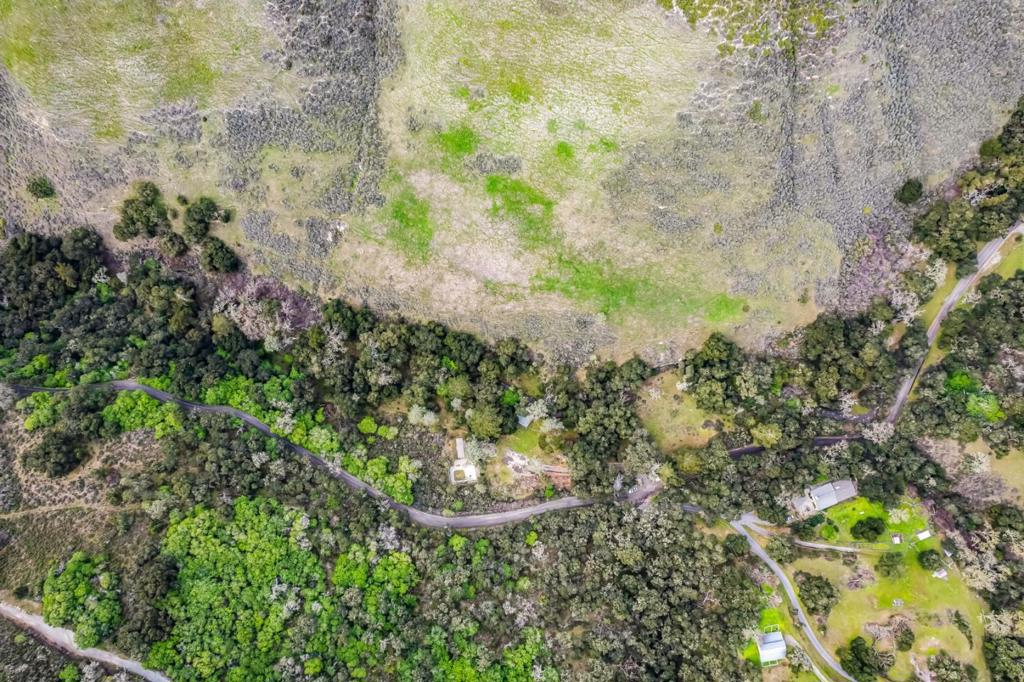 MLS #ML81998990 image #48