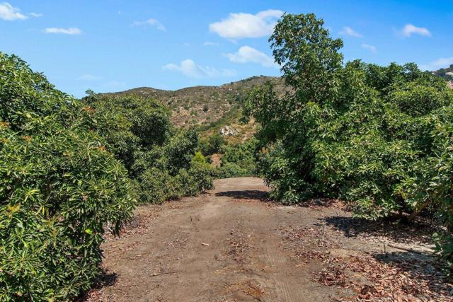 3264 Shearer Xing, Fallbrook, California 92028, 4 Bedrooms Bedrooms, ,2 BathroomsBathrooms,Single Family Residence,For Sale,Shearer Xing,240026943SD