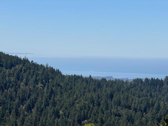 132 Pax Place Court, Aptos CA: https://media.crmls.org/mediaz/c314631d-c613-44ad-ab2d-16e3c873658a.jpg