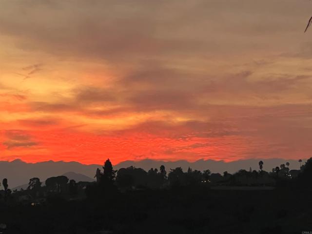 View!