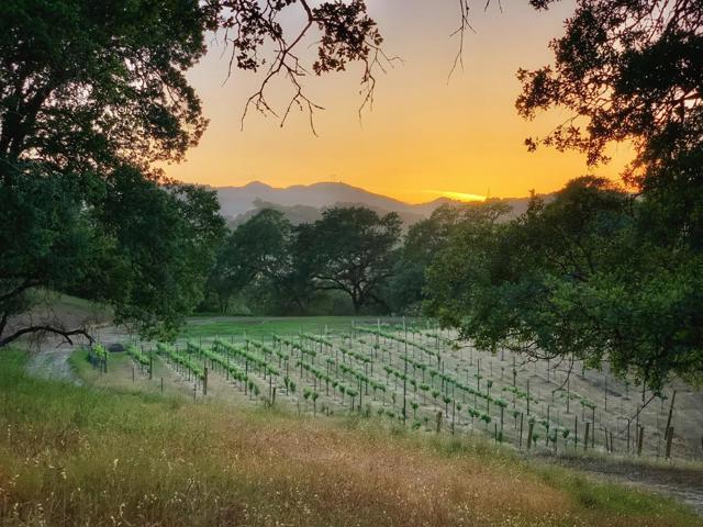 0 Hayes Lane, San Martin CA: https://media.crmls.org/mediaz/c3163528-5d13-4e7a-8d92-a8f17ca6759c.jpg