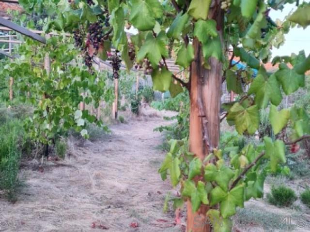 8209 Mesa, Santee CA: https://media.crmls.org/mediaz/c31f5dfe-aaa7-4e3b-b144-0448100d6a47.jpg