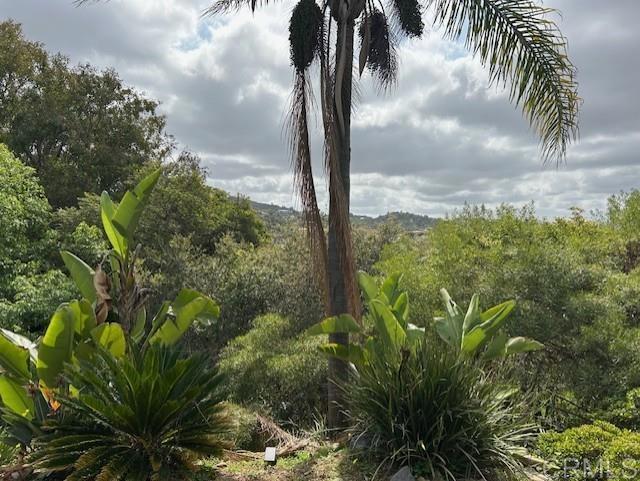 2248 Buena Creek Rd., Vista CA: https://media.crmls.org/mediaz/c320d1d3-609d-4b1e-82ad-5cddae0c2246.jpg