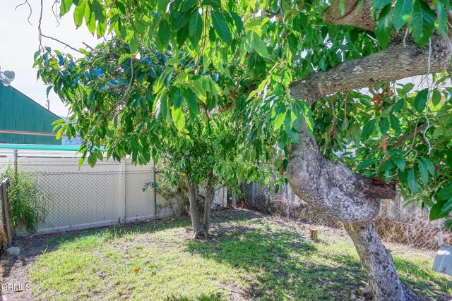 Detail Gallery Image 45 of 52 For 916 E Santa Paula St, Santa Paula,  CA 93060 - 3 Beds | 1 Baths