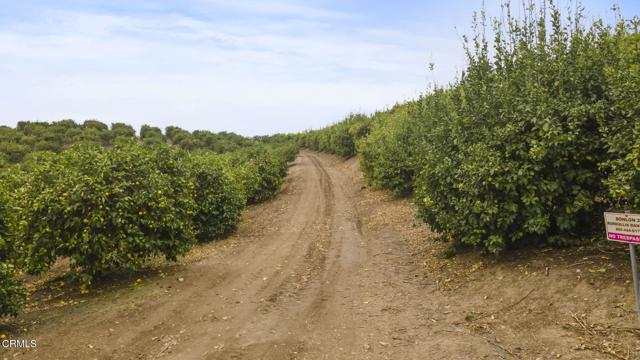 0 Donlon Road, Somis CA: https://media.crmls.org/mediaz/c326ec84-6d81-4fa4-9dfc-22cadbea8705.jpg