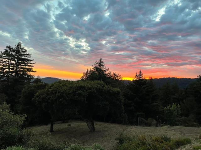 1584 Tindall Ranch Road, Corralitos CA: https://media.crmls.org/mediaz/c32bfa12-db94-4e2c-8838-ac0daad619d5.jpg