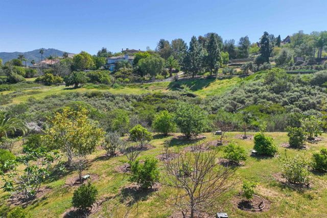 17941 Vista Lomas Dr, Poway CA: https://media.crmls.org/mediaz/c32e5573-3f3c-4c77-8085-0423fbeceea1.jpg