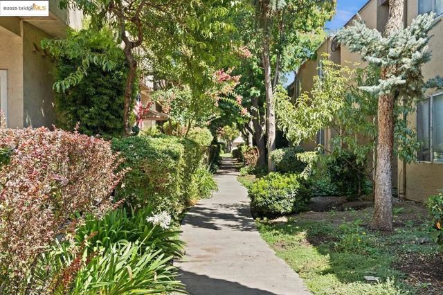 297 Tradewinds DR, San Jose CA: https://media.crmls.org/mediaz/c333084d-a2bf-4ac6-97d6-0b5931b4bd4b.jpg