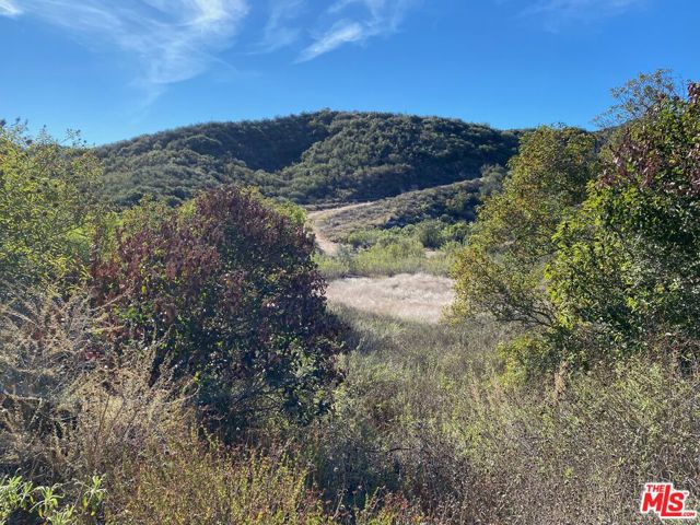 23629 Zuniga Road, Topanga CA: https://media.crmls.org/mediaz/c3346da2-00ae-46a4-a109-f2566a0899dd.jpg