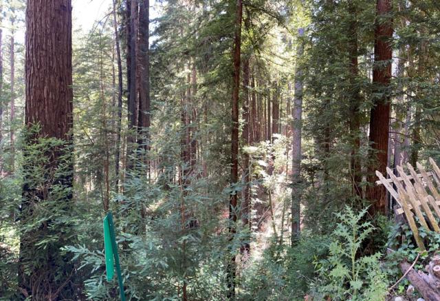 506 Sunset Road, Boulder Creek CA: https://media.crmls.org/mediaz/c342dda2-b1cb-4b21-9ebc-b88331e04b3a.jpg