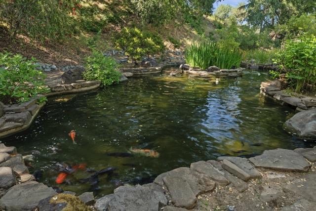 12359 Farr Ranch Road, Saratoga CA: https://media.crmls.org/mediaz/c342ebe1-0238-444d-aedb-cf7e4e11b89b.jpg