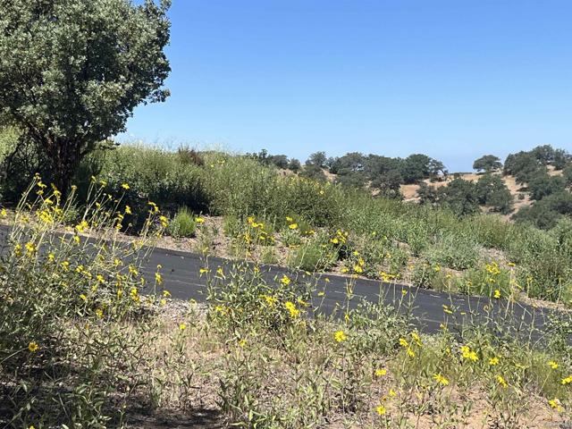 3890 Eagle Ridge, Julian CA: https://media.crmls.org/mediaz/c344ff83-6f32-454c-aebb-ceab95f70584.jpg
